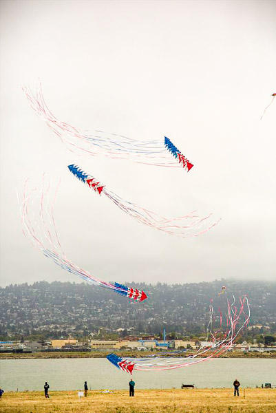 Kite Festival, team stunt kites