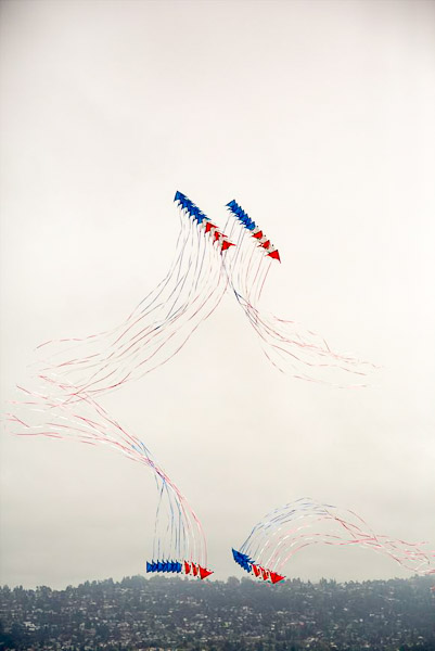 Kite Festival, team stunt kites