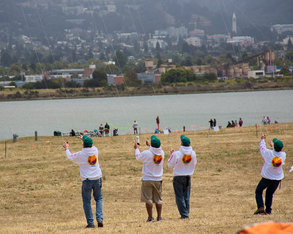 Kite Festival, team stunt kites