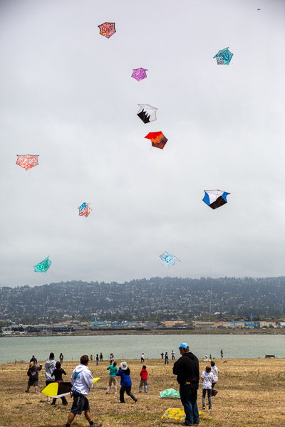 Kite Festival