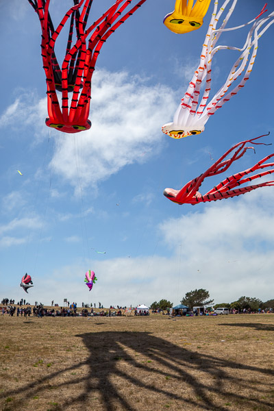 Kite Festival