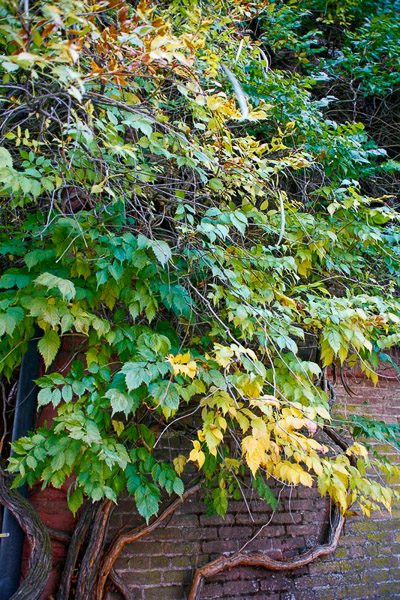 Preston Castle/Preston School of Industry