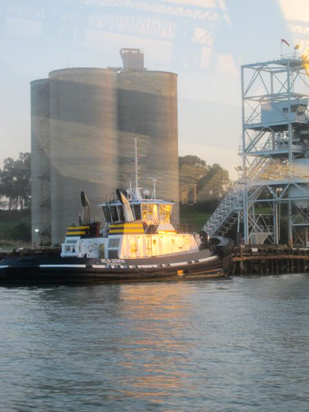 Sturgeon fishing on Suison Bay