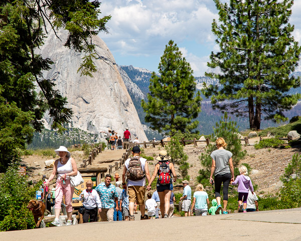 Yosemite National Park CA, Half Dome from Glacier Point