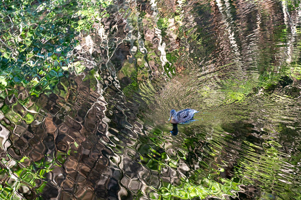 Campground outside Yosemite