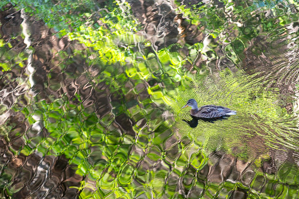Campground outside Yosemite