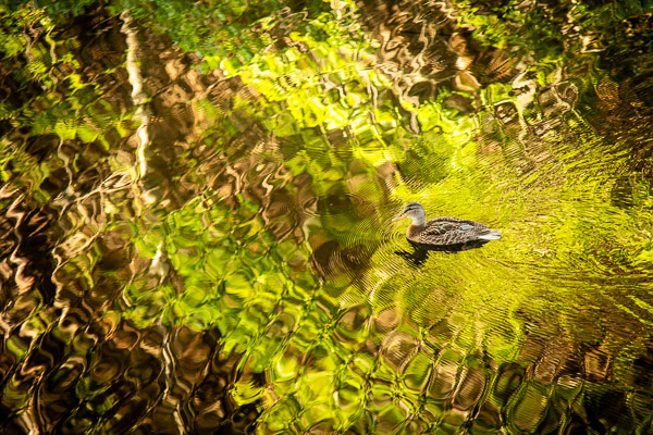 Campground outside Yosemite