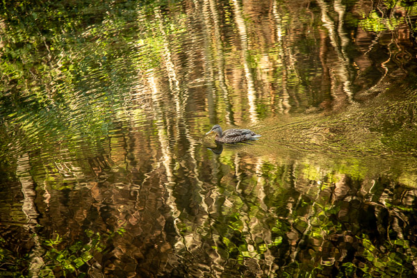 Campground outside Yosemite