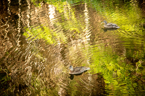 Campground outside Yosemite