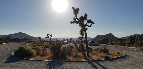 Boy Scout Trail area