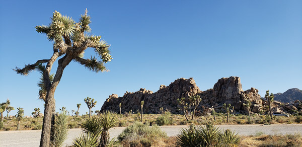 Boy Scout Trail area