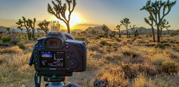 Boy Scout Trail area