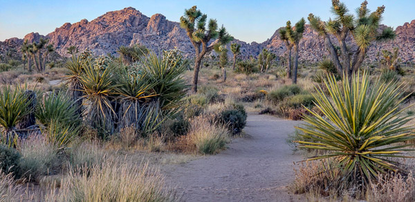 Boy Scout Trail area