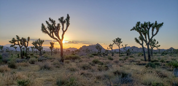 Boy Scout Trail area