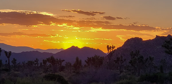 Boy Scout Trail area