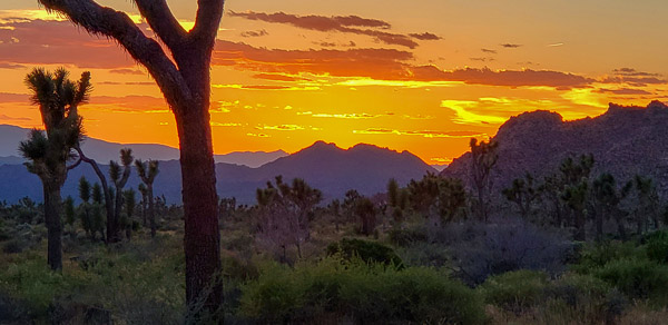 Boy Scout Trail area