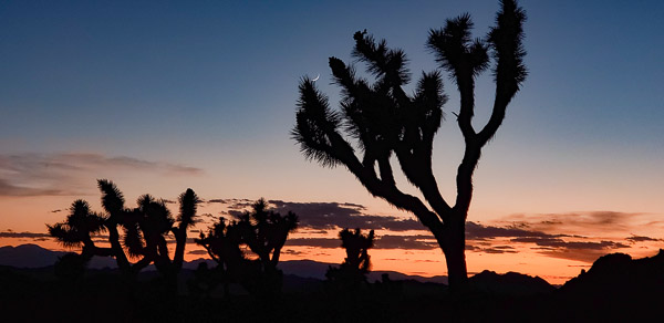Boy Scout Trail area