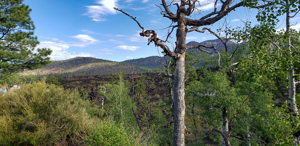 Sunset Crater Volcano National Monument