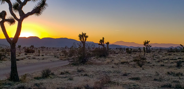 Joshua Treee National Park, CA