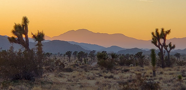 Joshua Treee National Park, CA