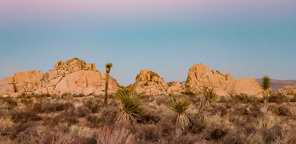 Joshua Treee National Park, CA