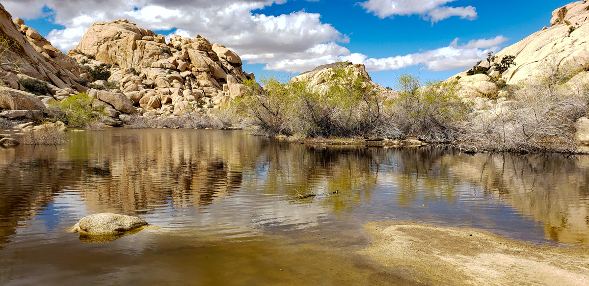 Joshua Tree National Park - Infrared Photo Workshop, Mar 2020