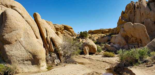 Joshua Tree National Park, CA