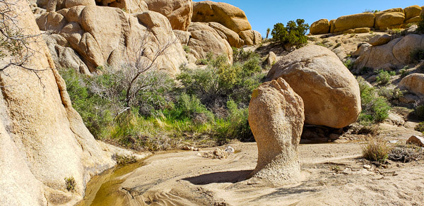 Joshua Tree National Park, CA