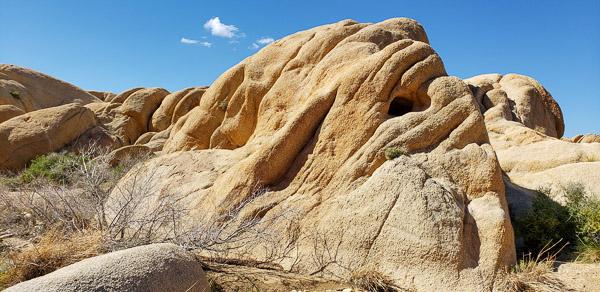 Joshua Tree National Park, CA
