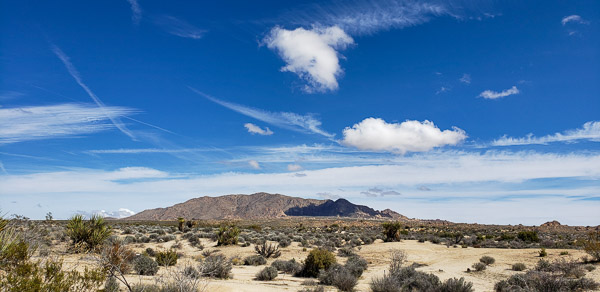 Joshua Tree National Park, CA