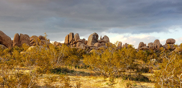 Joshua Tree National Park, CA