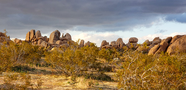 Joshua Tree National Park, CA