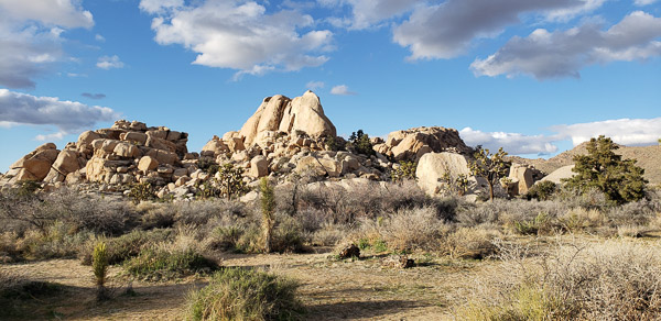 Joshua Tree National Park, CA