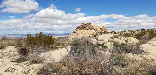 Joshua Tree National Park, CA