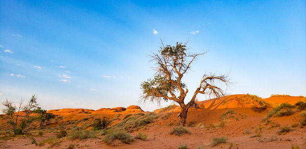White Wash Sand Dunes, UT