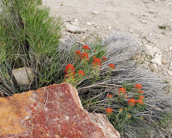 Travertine Hot Spring