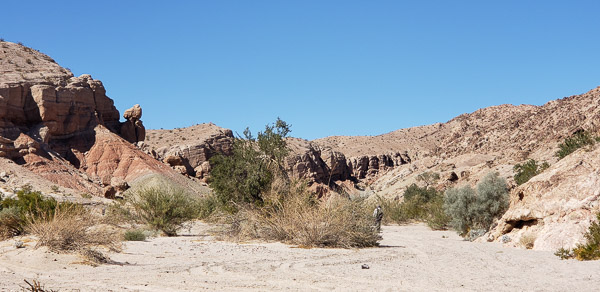 Anza Borrrego Stape Park, California