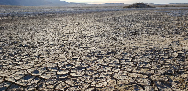 Clark Dry Lake