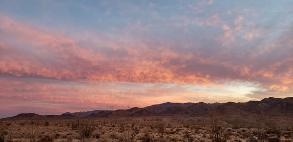 Anza Borrrego Stape Park, California