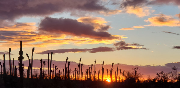Borrego Springs, California
