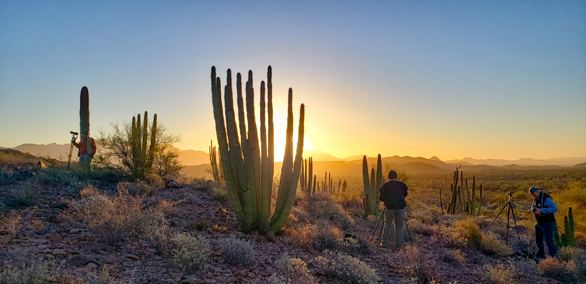 Organ Pipe National Monument, Arizona – March 3, 2022