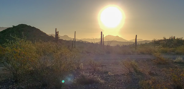Organ Pipe Cactus National Monument, Arizona