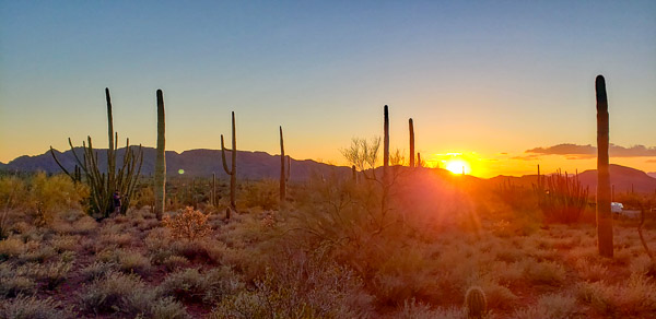 Organ Pipe Cactus National Monument , Arizona