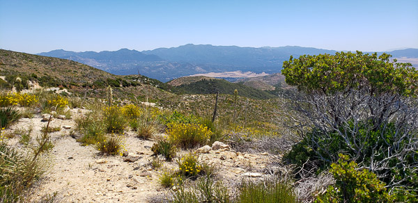 Palomar Trail run