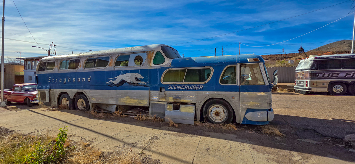 Bosque del Apache, New Mexico - January 18, 2026