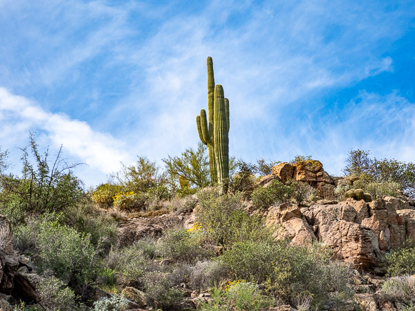 Apache Trail, Arizona