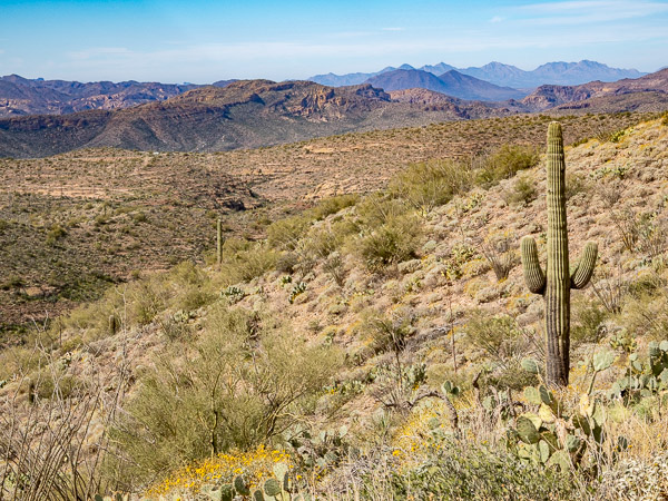 Apache Trail, Arizona