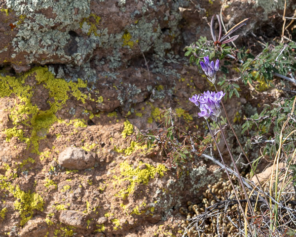 Apache Trail, Arizona