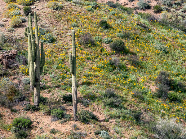 Apache Trail, Arizona