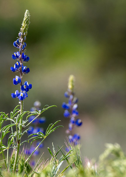 Apache Trail, Arizona
